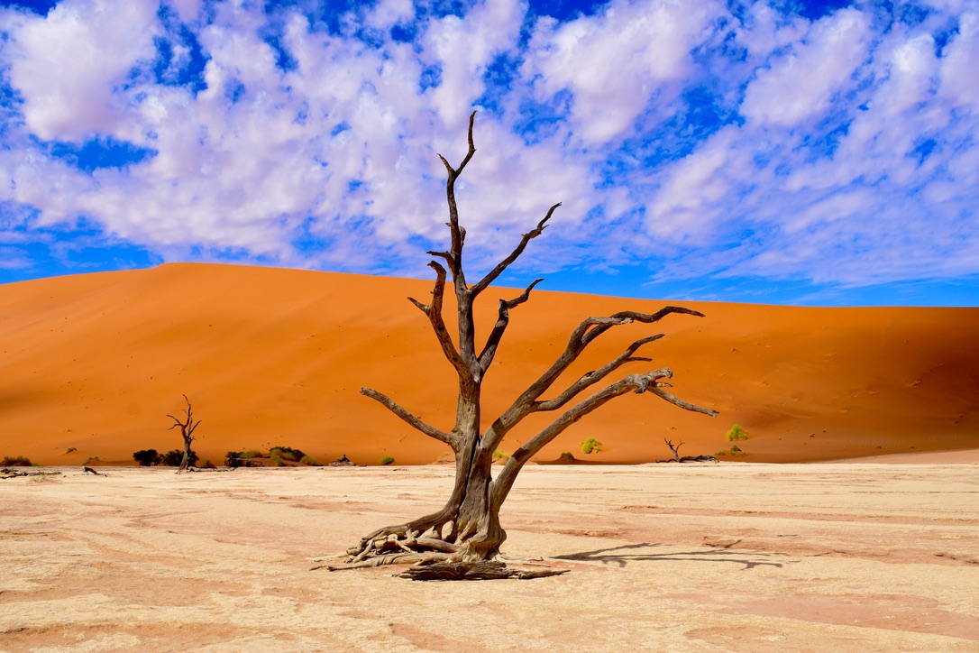 Namíbia varázsa – sivatagok, vadon és ősi himba kultúrák nyomában